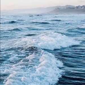 Meet your Posher, Maeve